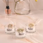 شمع ستاره صدف دریایی