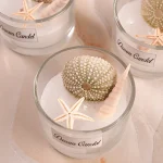 شمع ستاره صدف دریایی - Image 2