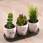 گلدان سه تایی کاکتوس - Image 2